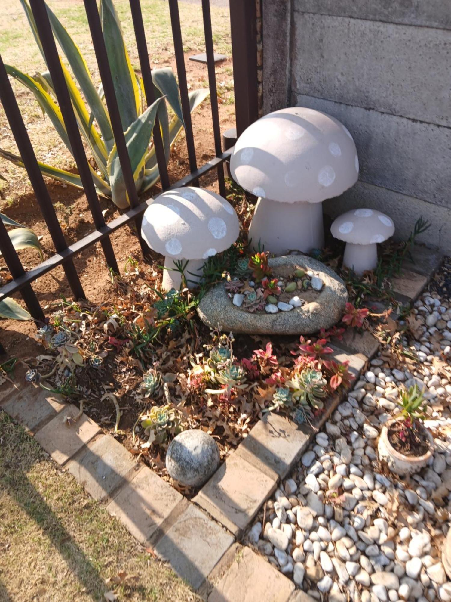 Lisane Accommodation Middelburg  Εξωτερικό φωτογραφία